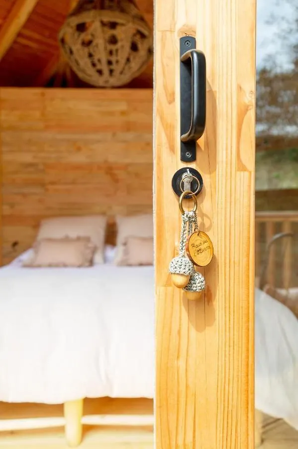 Nits de Bosc Pension Vilassar De Dalt